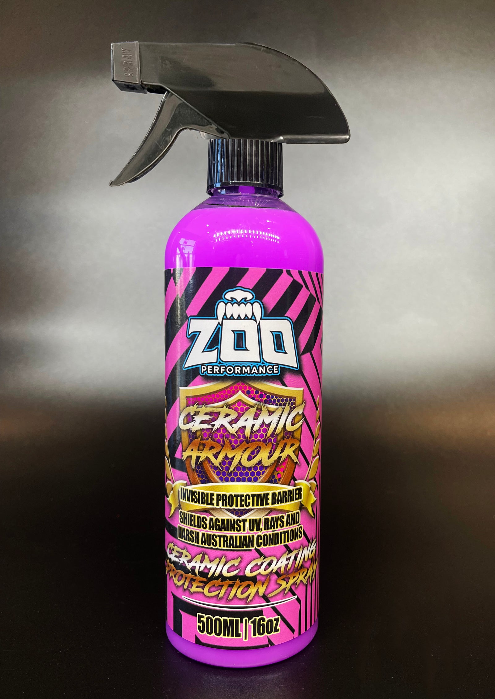 "THE STARTER" CAR CLEANING KIT