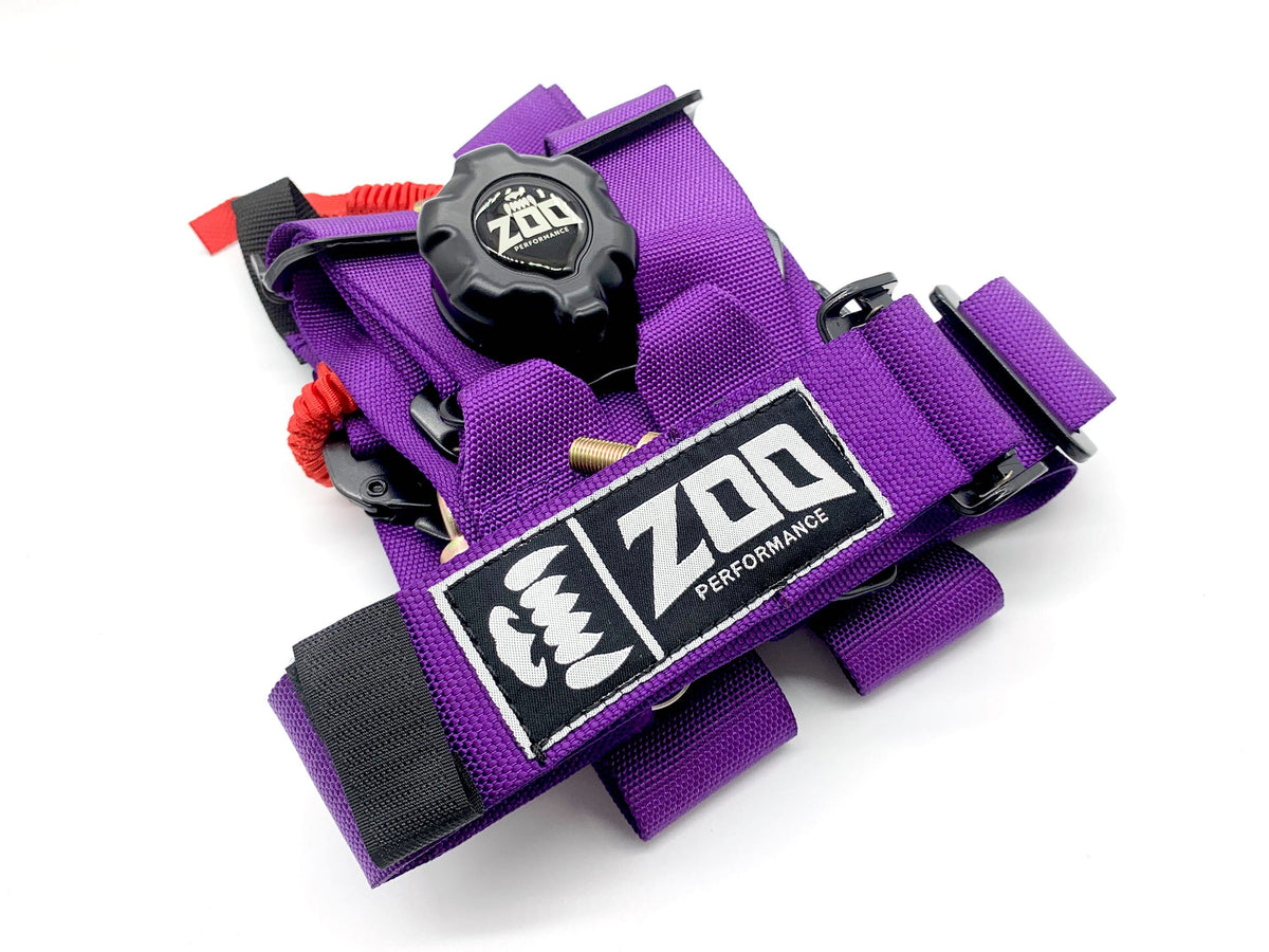 2" FIA Approved 6-Point Race Harness