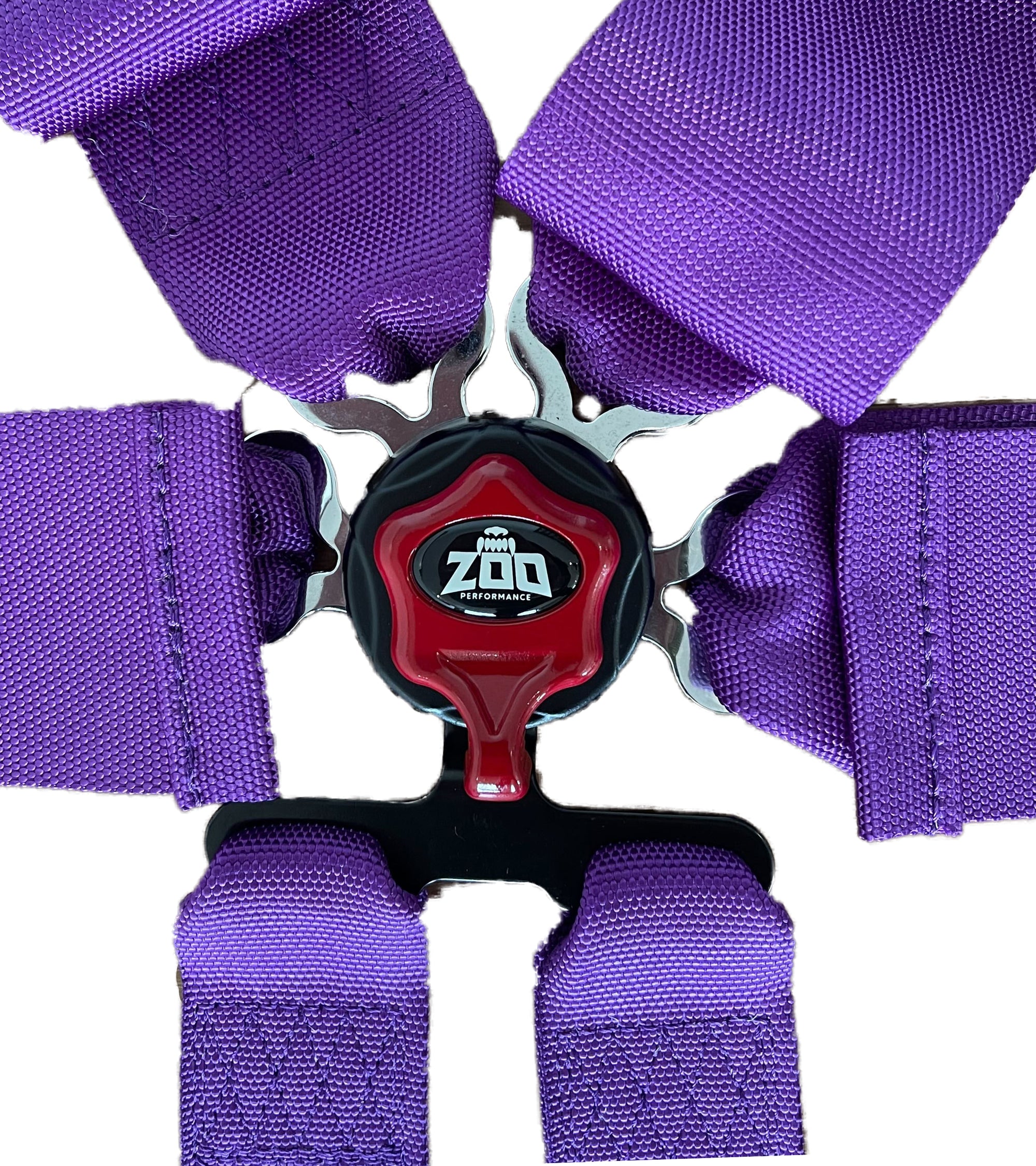 2" FIA Approved 6-Point Race Harness